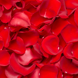 red-rose-petals-wedding-roses-globalrose.t