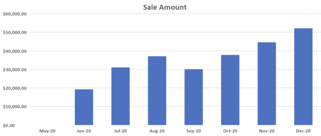 CJ Affiliate Network Sales Growth